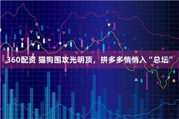 360配资 猫狗围攻光明顶，拼多多悄悄入“总坛”