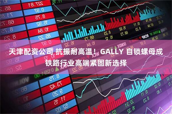 天津配资公司 抗振耐高温！GALLY 自锁螺母成铁路行业高端紧固新选择