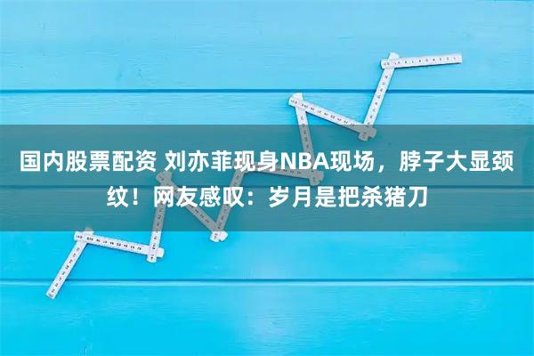 国内股票配资 刘亦菲现身NBA现场，脖子大显颈纹！网友感叹：岁月是把杀猪刀